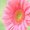 Photo of Qype User (Czarin…)