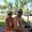 Photo of Mishelle M.