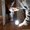 Photo of Qype User (Domini…)