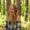 Photo of Kassidy A.