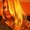 Photo of Paige B.