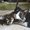 Photo of MH K.