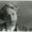 Photo of Meara S.