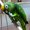 Photo of Qype User (stefan…)