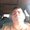 Photo of Danny T.