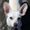 Photo of Kinu C.