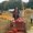 Photo of Tolu E.