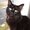 Photo of Qype User (Riobab…)