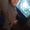 Photo of Scotly T.