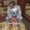 Photo of Marcell J.