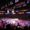 Photo of Shehryar K.