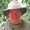 Photo of LInda M.