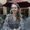 Photo of Larisa G.