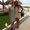 Photo of Mia B.