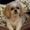 Photo of Martie S.