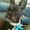Photo of Iliana A.