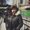 Photo of Chandrika B.