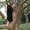 Photo of Wenting Y.