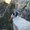 Photo of Josselyn H.