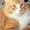 Photo of 6268063263 B.