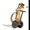 Photo of Sedona Segway T.