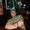 Photo of Danny B.