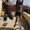 Photo of Nisha G.