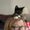 Photo of Dottie H.