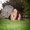 Photo of Darlene L.