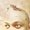 Photo of Frantz M.
