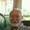 Photo of Scotty C.