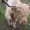 Photo of Qype User (Runner…)