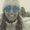 Photo of Lynda D.