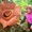 Photo of Mia T.