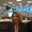 Photo of Martine T.