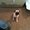 Photo of Cachy L.