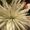 Photo of Rehana L.