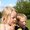 Photo of Niamh M.