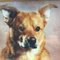 Susan M. profile picture