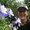 Photo of Amy Franke S.