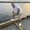 Photo of Obdia