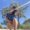 Photo of Petrona M.