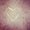Photo of Alice D.