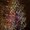 Photo of Sheri G.