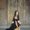 Photo of Nuha H.