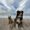 Photo of Samantha M.