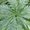 Photo of Karen D.