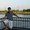 Photo of Srini D.
