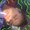 Photo of Daysia S.