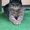 Photo of Pepper B.